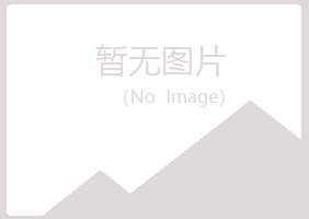 八公山区寒安金融有限公司